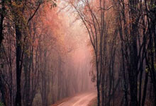 武汉桑拿体验到底行不行？合规安全卫生状况全解析