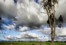 武汉桑拿体验到底行不行？合规安全卫生状况全解析