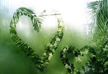 武汉按摩场所推荐：传统推拿馆与豪华SPA会所