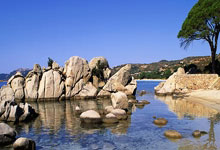 武汉会所体验丰富：美食盛宴与休闲佳地的乐土