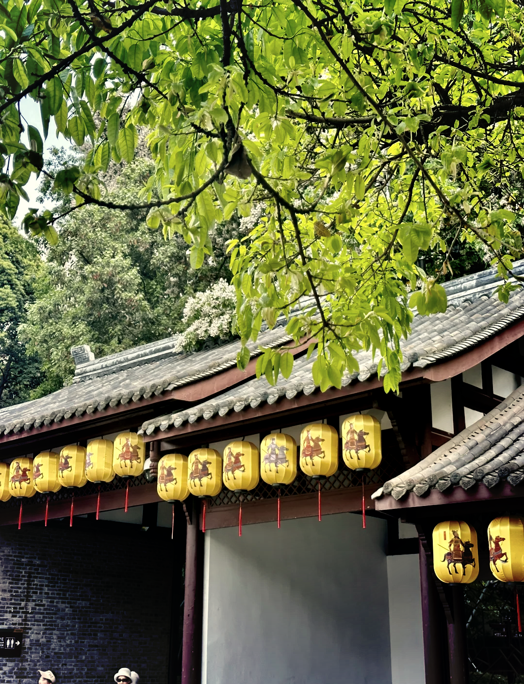 武汉宽窄巷子和锦里周边按摩店体验及特色全解析