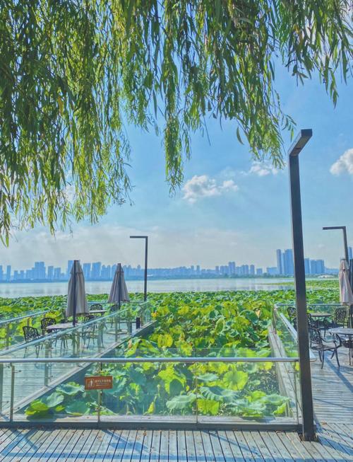 武汉做服务多的地方_武汉哪里的服务好_武汉哪里有服务好的休闲