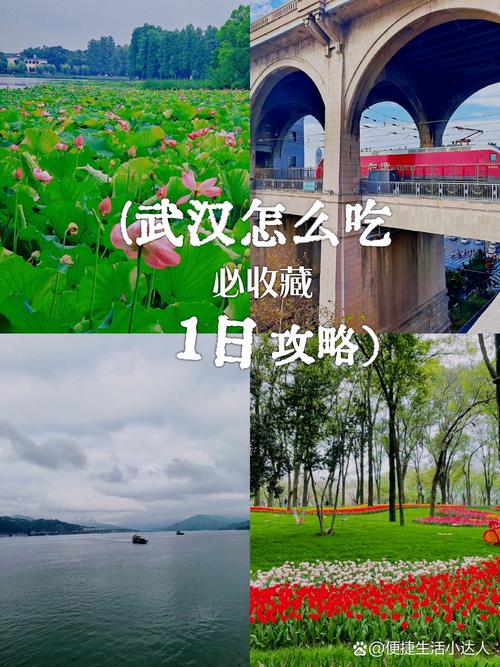 武汉适合养生吗？独特生活习性与地理资源尽显养生智慧