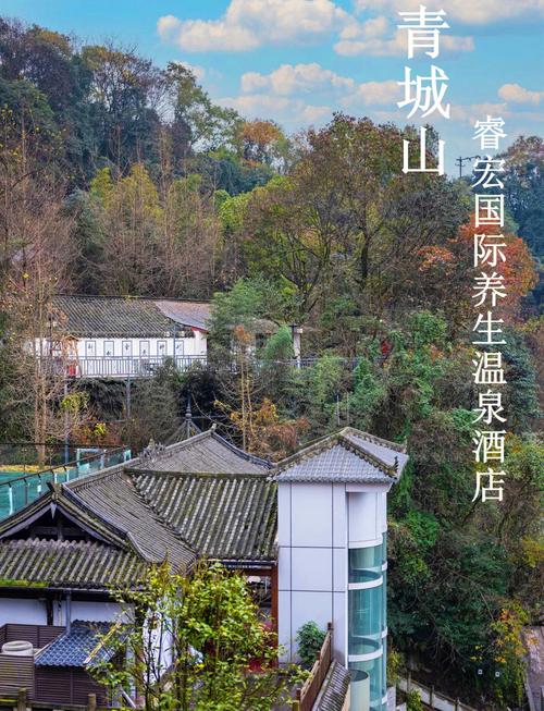 武汉的养生都是正规的吗_武汉养生项目_武汉养生推荐