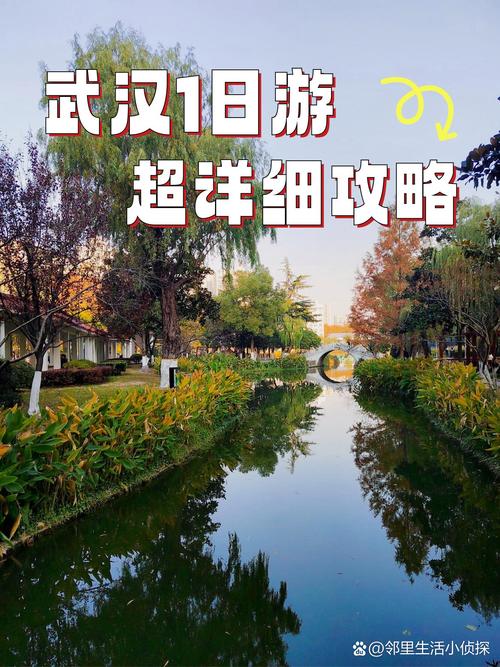 武汉养生见闻：朋友小李东湖绿道的调养身心之旅