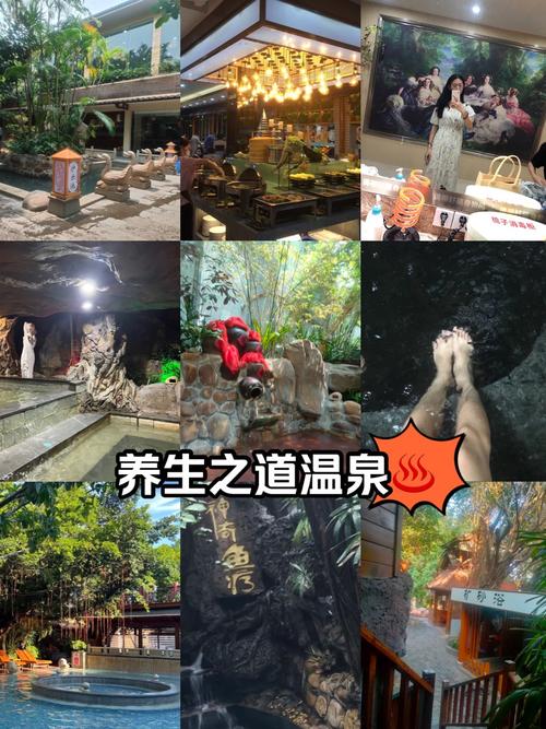 武汉养生之旅：青城山道家养生与花水湾温泉体验