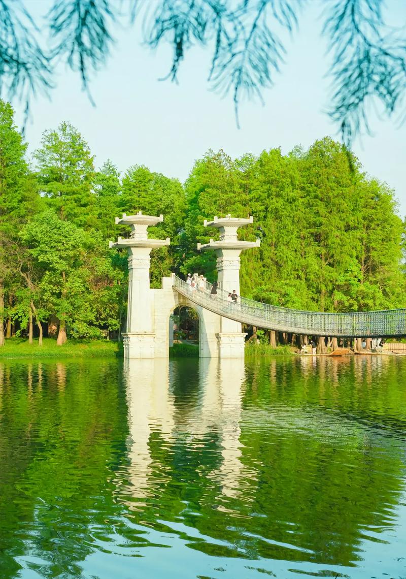 武汉养生比较好的地方_武汉性价比最高的养生_武汉养生哪里好