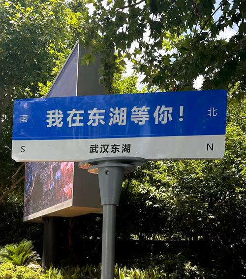 武汉养生比较好的地方_武汉养生哪里好_武汉性价比最高的养生