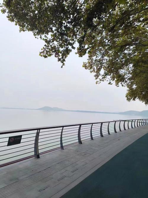 武汉养生好去处在哪？东湖绿道周边环境宜人超适合