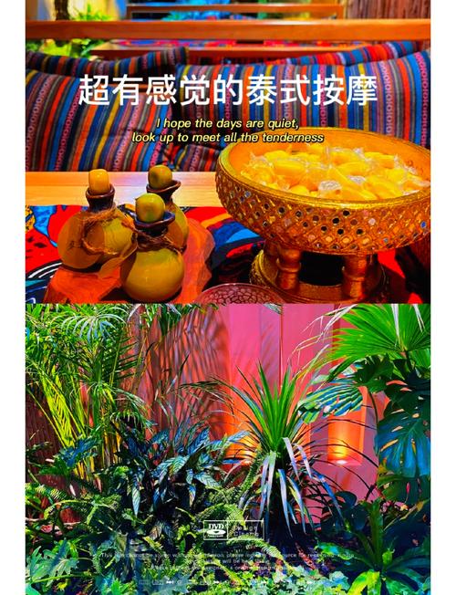 武汉保健活动体验：精致环境与多样化项目带来的身心放松之旅