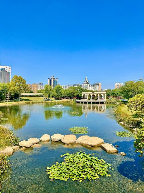 武汉养生餐厅_武汉养生sz_武汉养生推荐